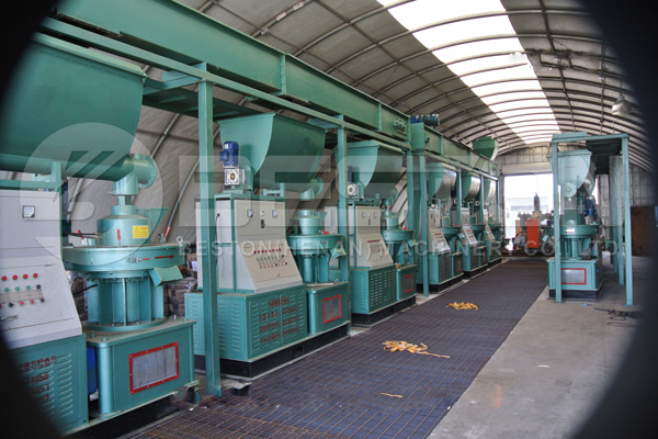 Get Fair Pellet Making Machine Price from Beston